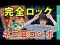 【デュエルリンクス】クセが強い！猫耳族ロックデッキの紹介