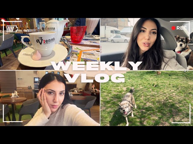 calm weekly vlog : une semaine avec moi -  travaux à la maison, filage, spectacle et malade encore