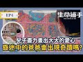 兒子盡力畫出大大的愛心 昏迷中的爸爸會出現奇蹟嗎? 【生命捕手】EP4精華｜公視+ 每週日晚上八點 全網首播