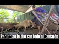 El Camarón se confió de Pablito y lo cuernio. Las aventuras de Cachiflin. Detrás de cámaras. Parte 2