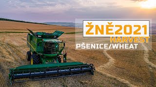 2021 Wheat Harvest Ii Žně 2021 Pšenice Ii Farmvlog 4K