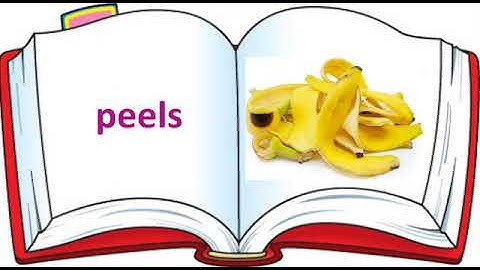 Class 1 EVS  Lesson 4 Safety Rules(Notes of Lesson)