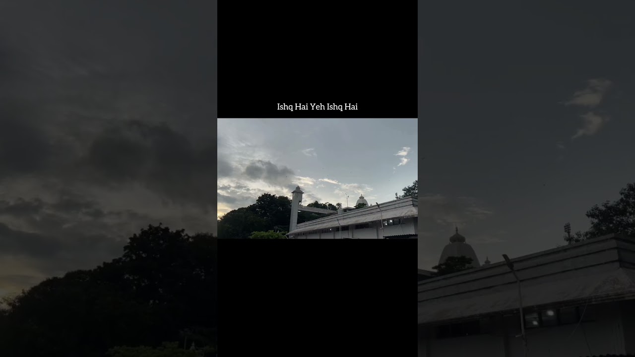 “Why are we always roaming?”Because life isn’t meant to be lived in one place. ✨