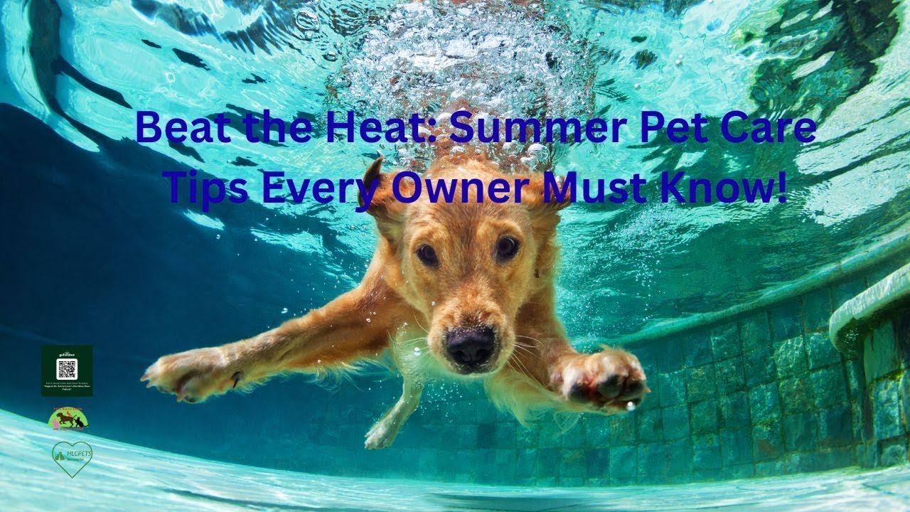 Beat the Heat: Summer Pet Care Tips Every Owner Must Know!