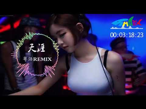 DJ REMIX 粵語 舞曲【亮聲Open - 天涯 】嗨翻全場