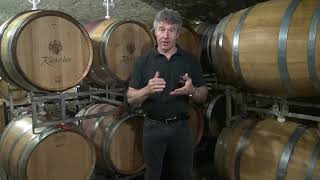 Weintaxi Wiesbaden - Weingut Künstler - Vorstellung