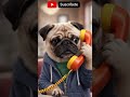 pug y sus chistes por telefono #pets #short #funny