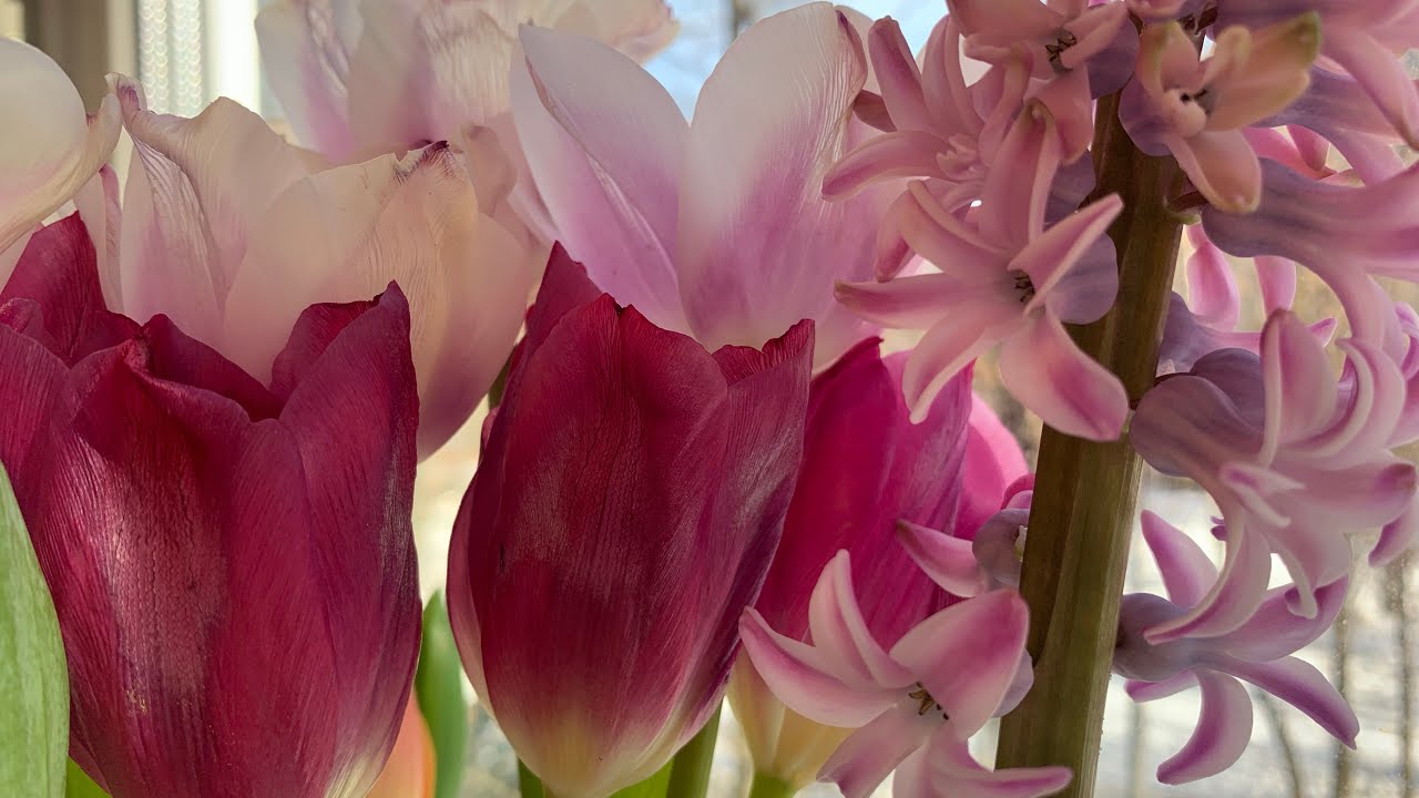 Весна весна ❤️