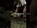 USA's Oddities_ Language, Lakes, and Parks! #shorts #short #oddlysatisfying