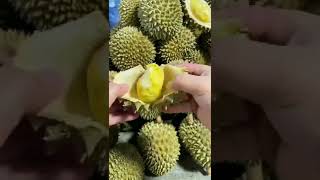 Mini Durian