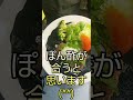 超ずぼら飯【ぱっかんステーキ】ぽん酢であっさりが旨い😋😋ショートムービー#Shorts
