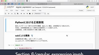 【レクチャー:  Pythonにおける正規表現】自然言語処理とチャットボット: AIによる文章生成と会話エンジン開発