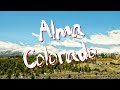 Hidden gems alma co homes for sale park county real estate