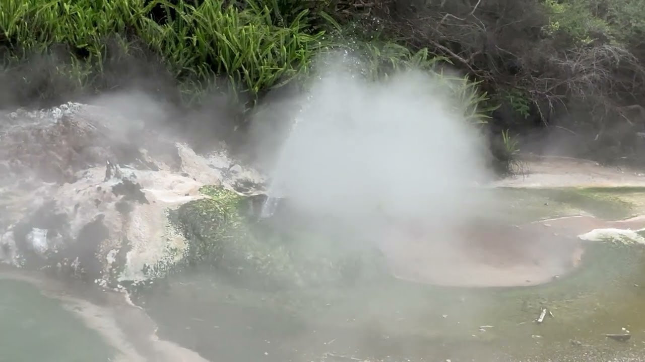 Hot Spring at Waimangu Volcanic Valley, Rotorua, New Zealand (1)