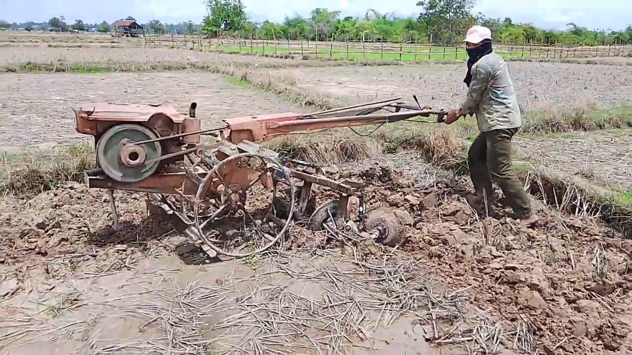 ออกมาไถหูดนา ฝนตกบ่อสะหม่ำสะเหมีก้าชิยาวปะแล้ว #บ่าวพล วัยรุ่นทำกิน
