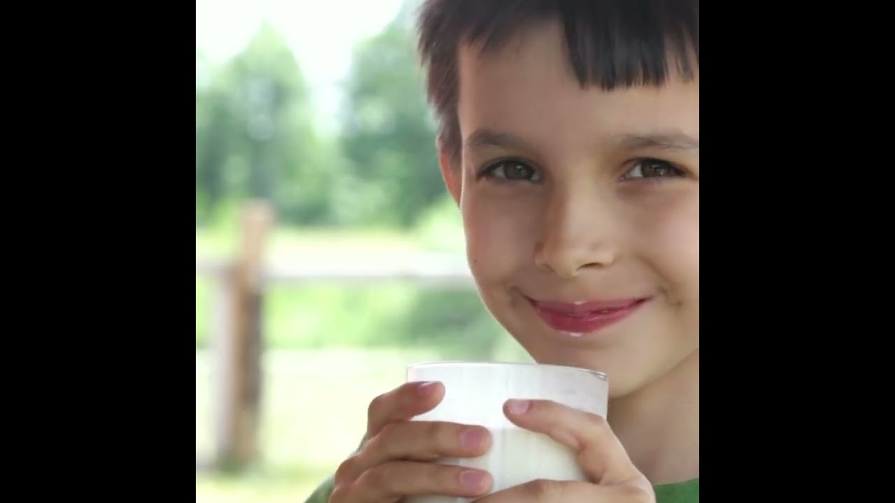 Central Lechera Asturiana Vegetánea ahora con más sabores naturales soja, avena, arroz y almendras