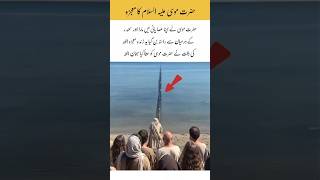 Hazrat musa miracle #islamicvideo #hazratmusa #unfrezzmyaccount #god #highlights #islamicreminder
