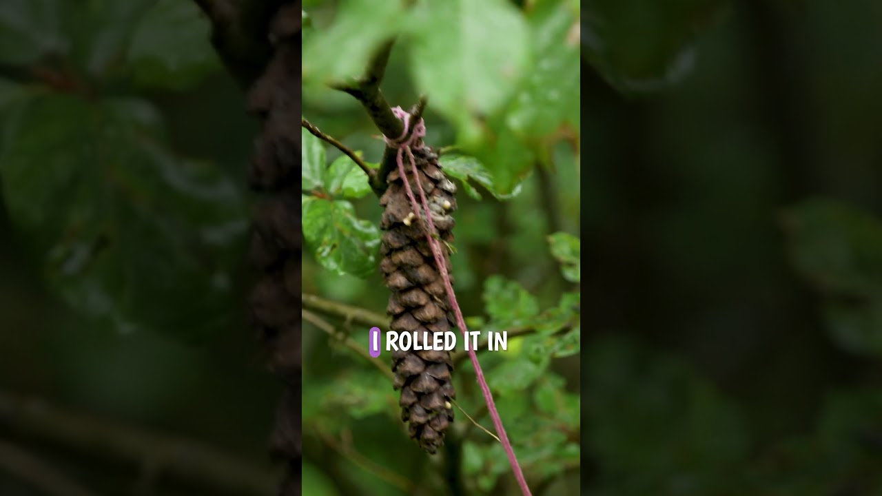 Do your birds prefer almond butter or peanut butter? 