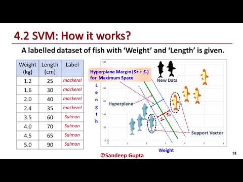 Beginner's Guide for State Vector Machine