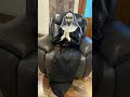 Valak is ready to sit back and relax #demo #halloween #spirithalloween #horrormovies #funny