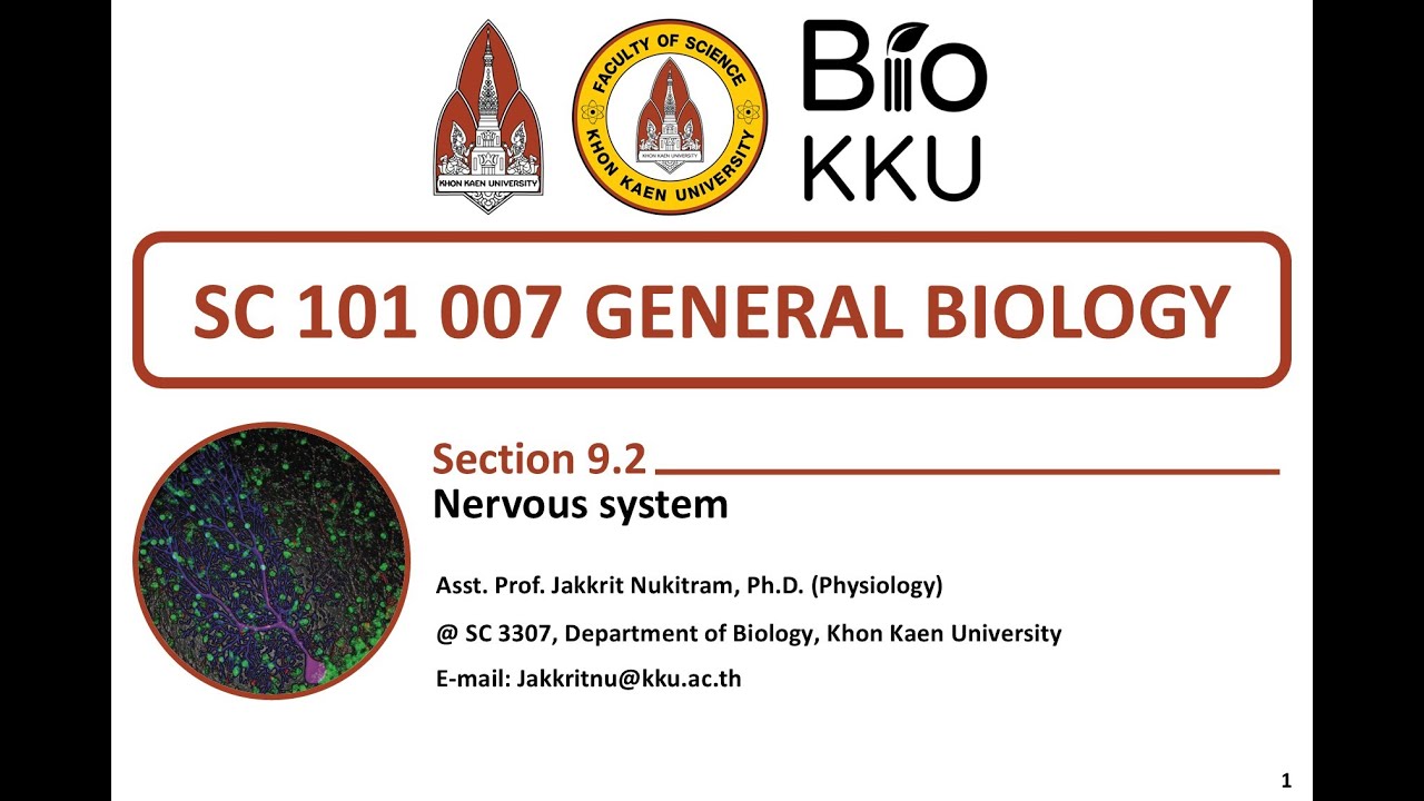 General Biology - Nervous System Part I