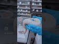 蛇オタ女子の日常 〜 ボールパイソン バター スパイダー ピンストライプ デザートゴースト 〜 #ボールパイソン #ballpython #爬虫類
