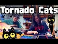 Diary - 941 - Tornado Cats - Guitar + Bass #Originalsong #オリジナル曲
