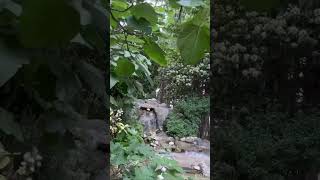 Beylikdüzü Belediye Parkını Geziyoruz