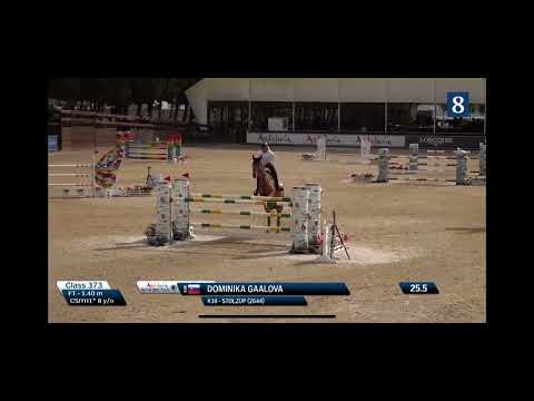 Stolzup CSIYH 8 yo Sunshine Tour