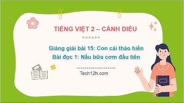 Giảng giải bài 15 - Bài đọc 1: Nấu bữa cơm đầu tiên | Tiếng Việt 2 Cánh diều
