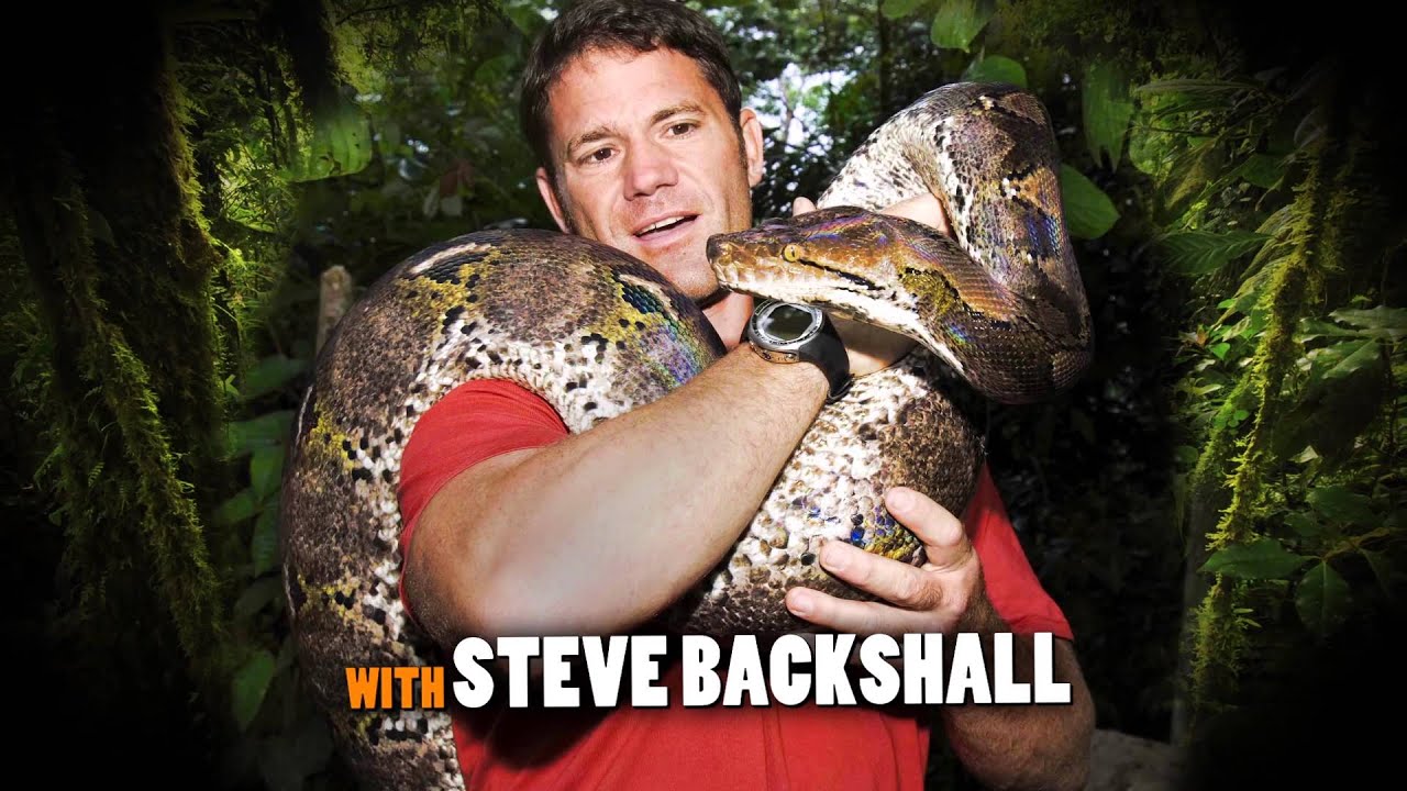 steve backshall deadly 60 tour
