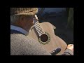 Guitarra Chilena en la Araucanía