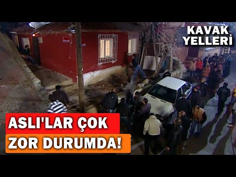 Aslı'lar Çok Zor Durumda! - Kavak Yelleri 69.Bölüm