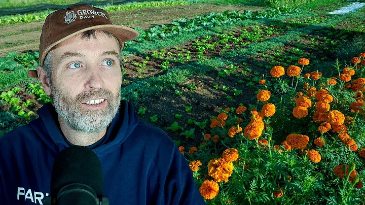 Straw Like You’ve Never Seen it Before + Tannins in the Ground Water