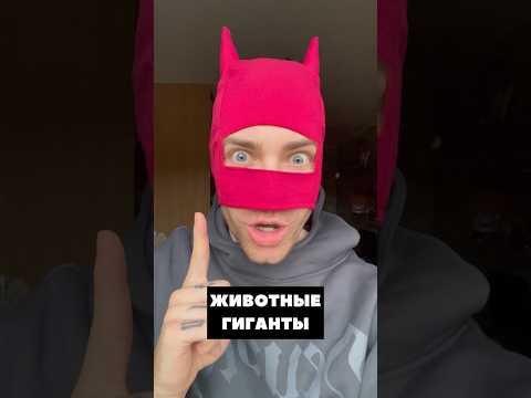 ГИГАНТЫ 😱⚠️ Эти животные крупнее, чем ты думал!