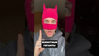 ГИГАНТЫ 😱⚠️ Эти животные крупнее, чем ты думал!