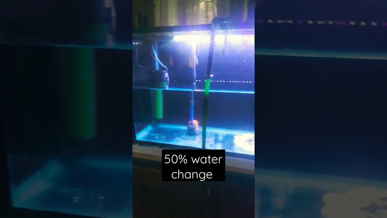 #waterchangeDay