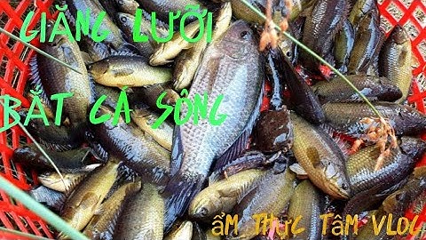 GIĂNG LƯỚI BẮT CÁ SUỐI MÙA NƯỚC CẠN Tâp2