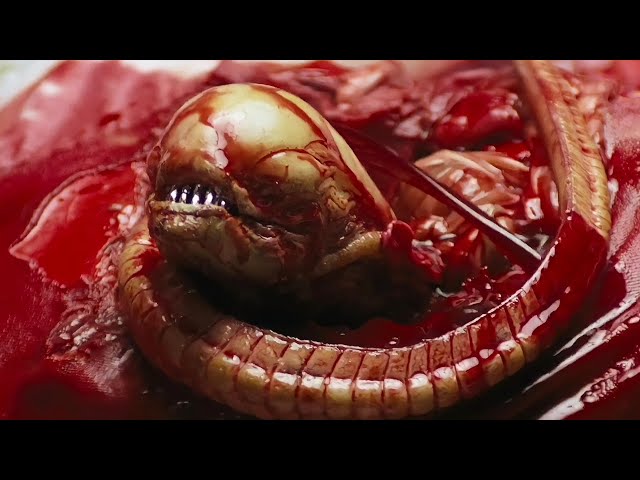 Boneco custom Alien Alien - O Oitavo Passageiro filme tv desenho série