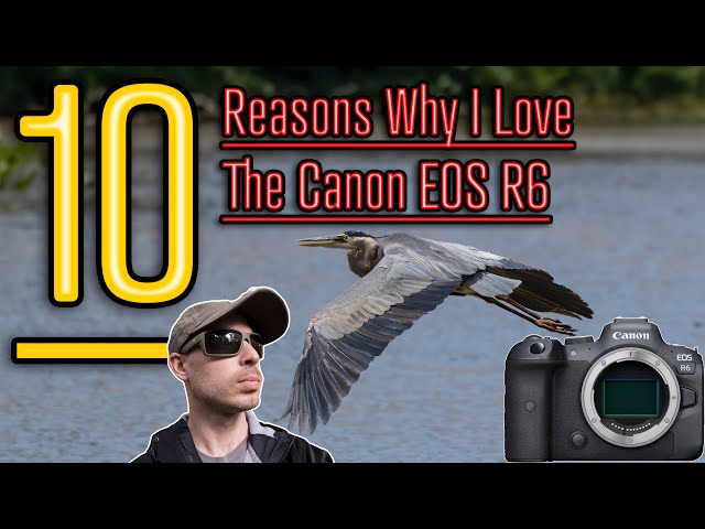 Canon EOS R6 Review: not the hybrid king, but a great photographers'  camera: Digital Photography Review