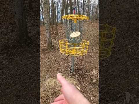 Do you disc golf?