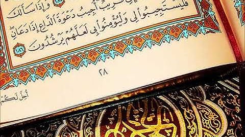 سورة الشرح | بصوت الشيخ : توفيق الصايغ .