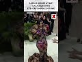 Cardi B dazzles in bold costume art outfit| #viral NewsX World
