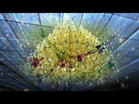 دفتر امامي باسم الكربلائي