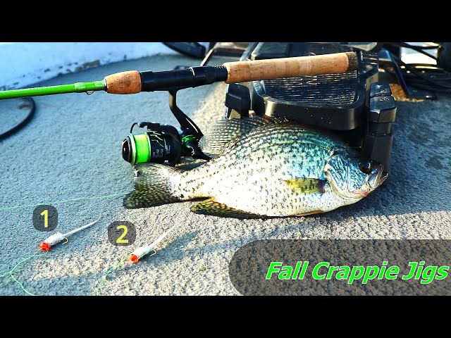 Perfect Fall Crappie Jig Rig (Double Jig Crappie Rig) 