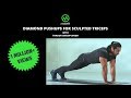 Anoop Singh Workout Series | Diamond Pushups for Sculpted Triceps
