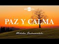 🌄🙇🏻‍♂️Música Instrumental Cristiana / Paz Y Calma🙇🏻‍♂️🌄