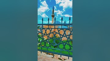 تلاوة جميلة بصوت الشيخ ياسر الدوسري (هذا خلق الله فأروني ماذا خلق اللذين من دونه)