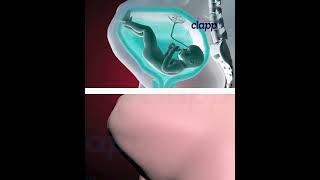 Struggles Of Baby Inside The Womb 3D Animation