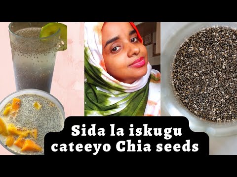Baro Sida La Iskugu Cateeyo Chia Seeds Miisaandhimista Munascorner Miisaandhimis Baro Sida La Iskugu Cateeyo Chia Seeds Miisaandhimista Munascorner Miisaandhimis